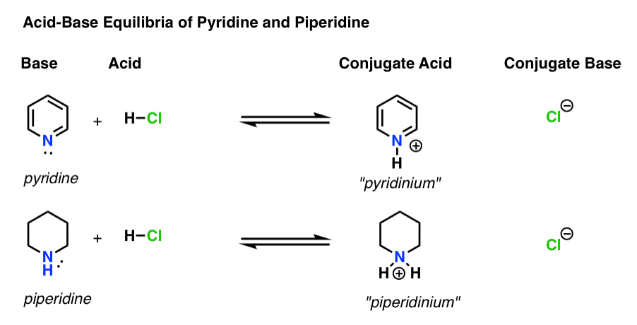 Amine Basicity Is Measued By The Pka Of Its Conjugate Acid