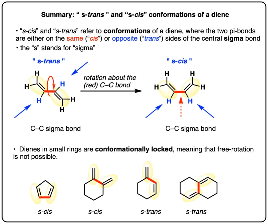 summary-s cis and s trans conformations of a diene