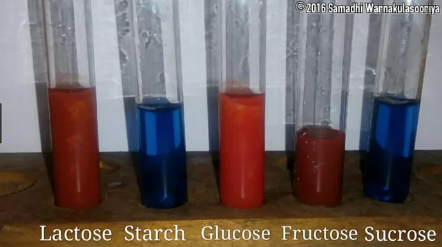 examples of benedicts test with lactose starch glucose fructose and sucrose