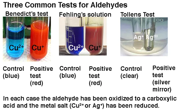 benedicts test fehlings solution and tollens tests for presence of aldehydes reducing sugars