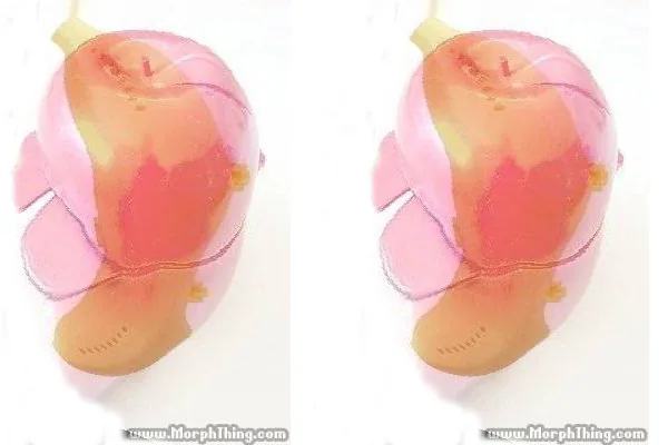hybrid fruit containers banana and apple holder