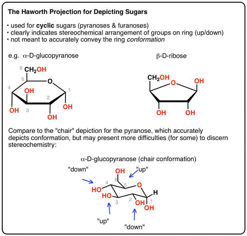 The Haworth Projection Master Organic Chemistry