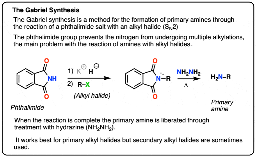 summary of the gabriel synthesis of amines