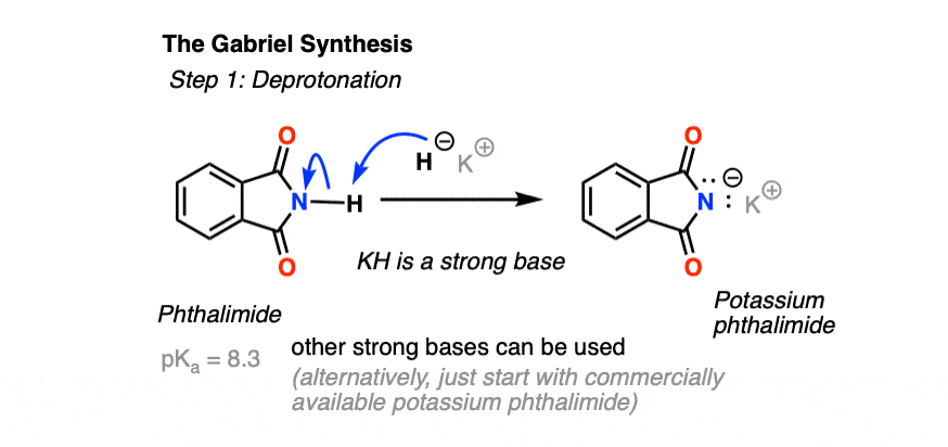 تشکیل فتالیمید پتاسیم در سنتز گابریل مرحله 1 deprotonation