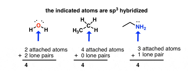 How To Determine Hybridization Orbitals