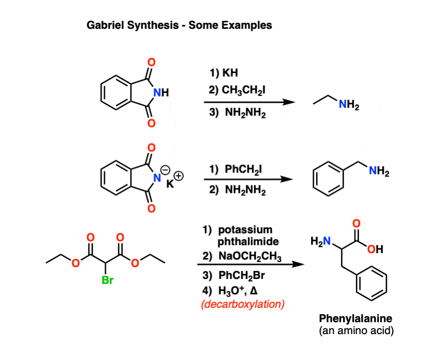 In The Gabriel Synthesis Of Primary Amines