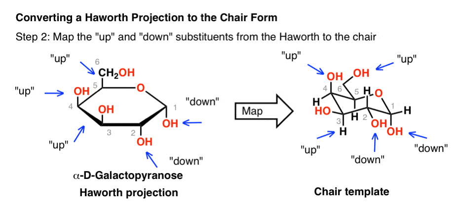 The Haworth Projection Master Organic Chemistry