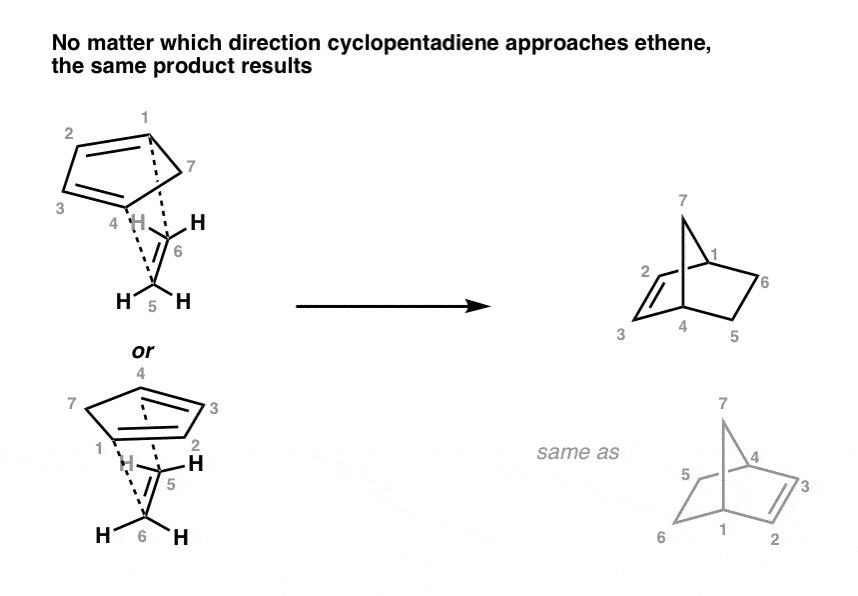 Exo vs Endo Products In The Diels Alder How To Tell Them Apart