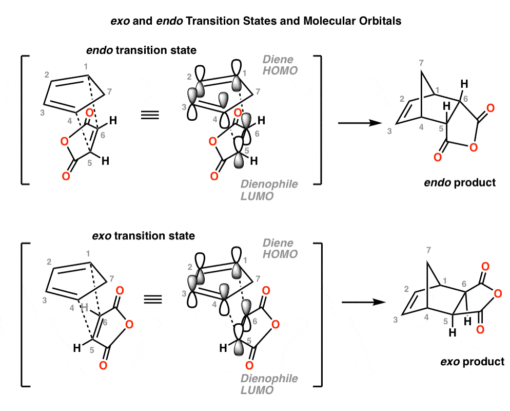 Endo vs Exo Why Are Endo Products Favored In DielsAlder Reactions?