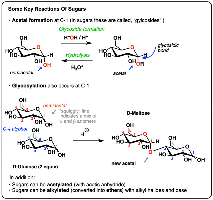 Key Reactions Of Sugars: Glycosylation and Protection