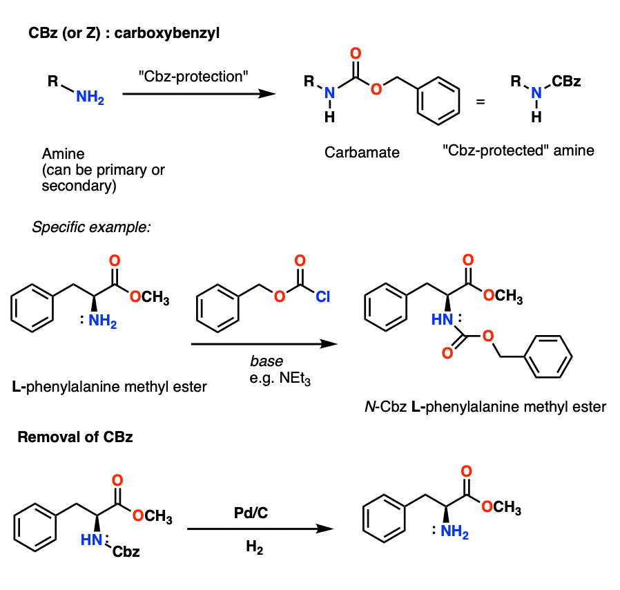 Protecting Groups for Amines: Carbamates – Master Organic Chemistry