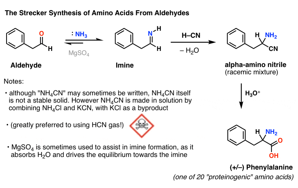 The Strecker Synthesis Of Amino Acids Master Organic Chemistry