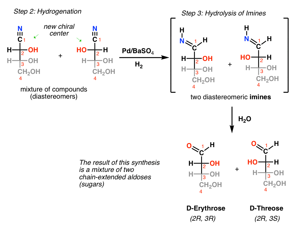 The Ruff Degradation And The Kiliani Fischer Synthesis