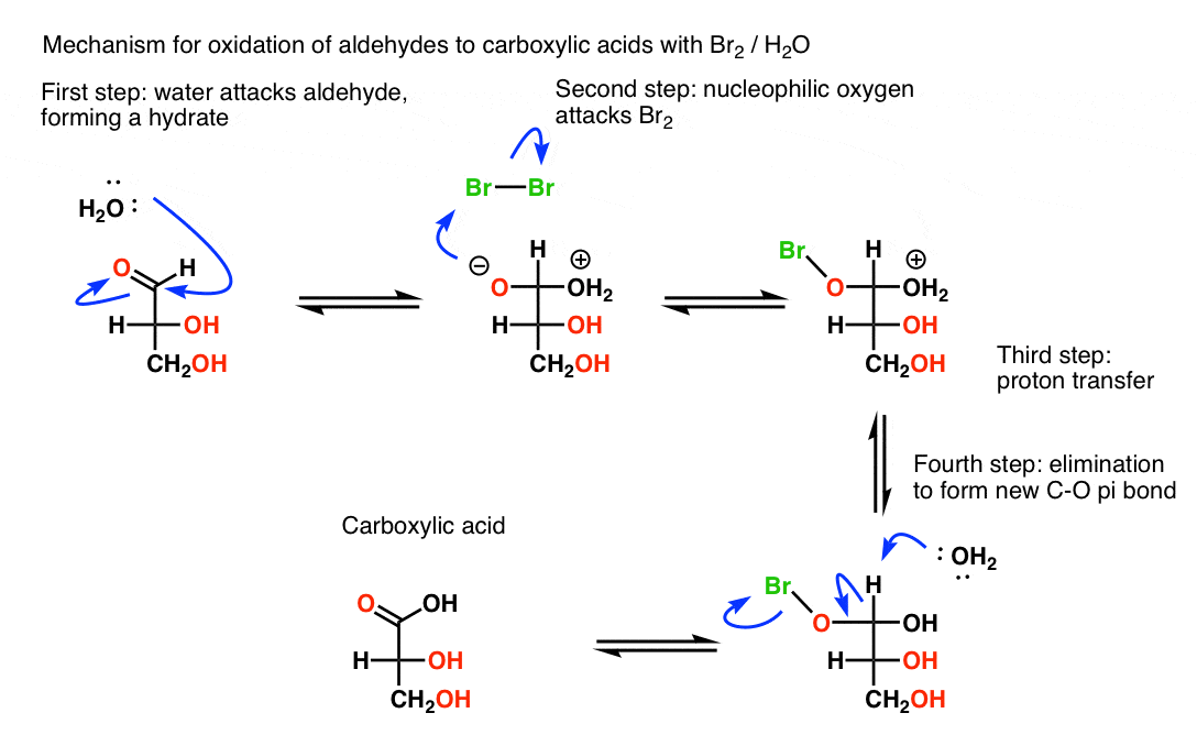 The Ruff Degradation and the Kiliani Fischer Synthesis