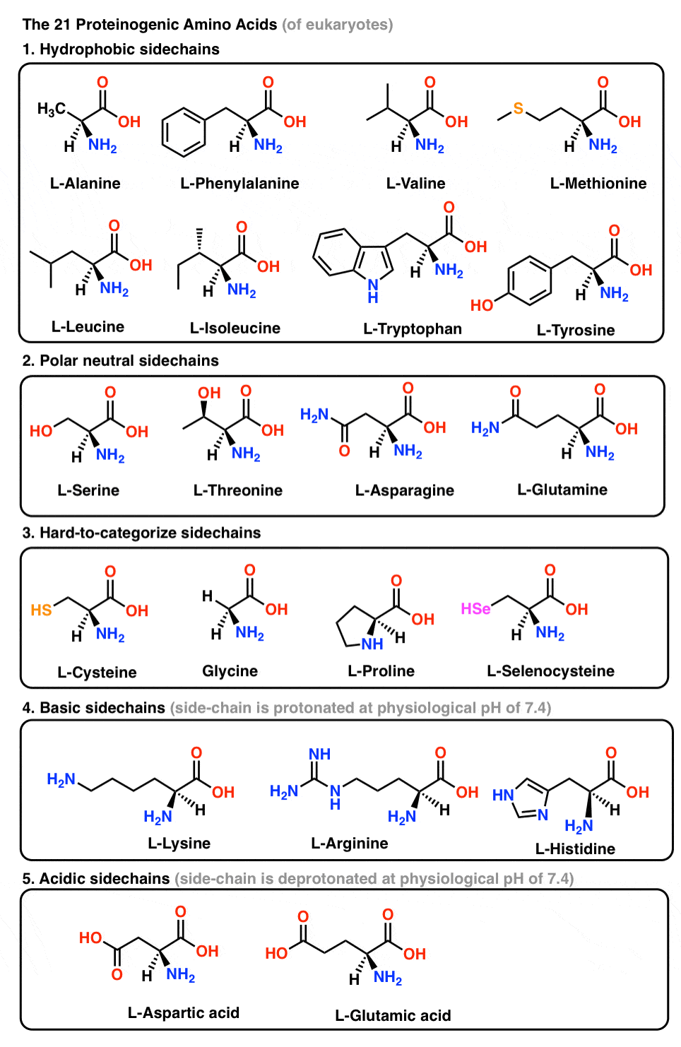 Synthesis of Peptides Master Organic Chemistry
