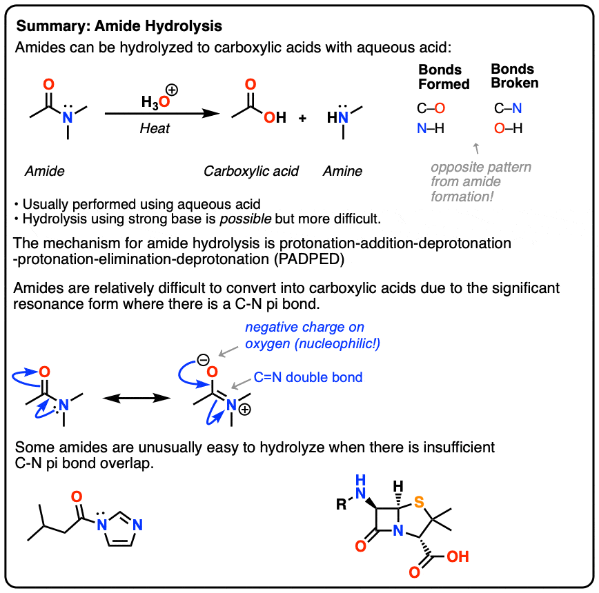 summary of amide hydrolysis
