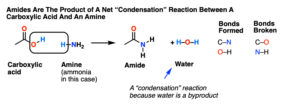 amides are the product of a net condensation reaction between a carboxylic acid and an amine showing carboxylic acid plus amine gives amide and water