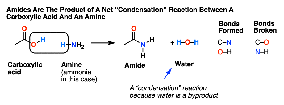 amides vs amines