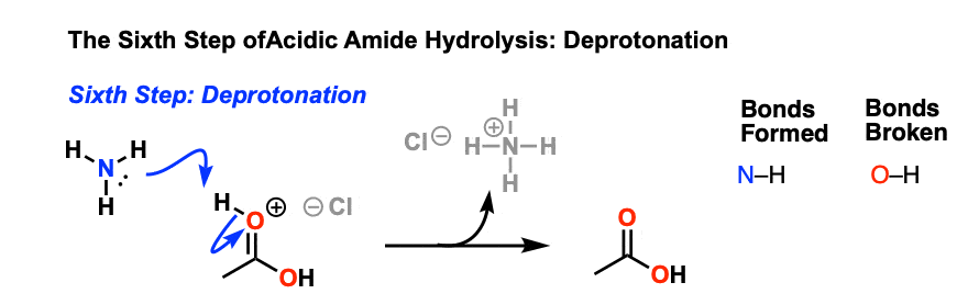 sixth step of amide hydrolysis mechanism acidic conditions is deprotonation of oxygen