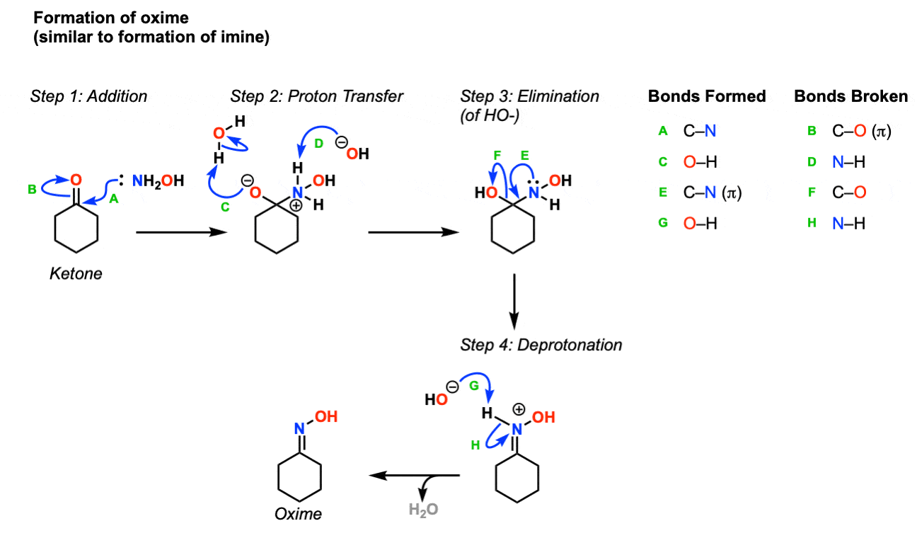 beckmann rearrangement formation of oxime from ketone mechanism addition proton transfer elimination deprotonation