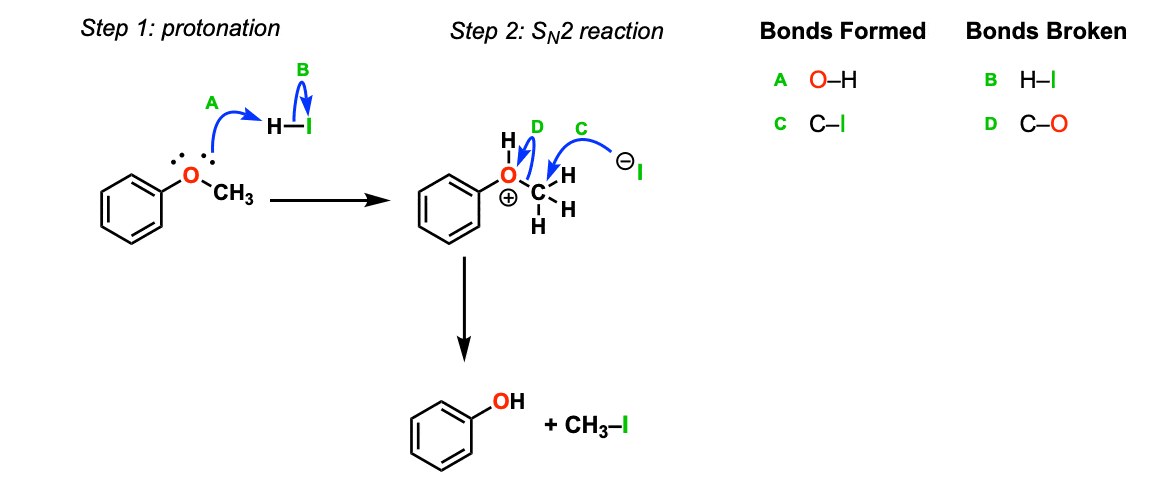 cleavage of phenyl methyl ether anisole through reaction with hi gives phenol plus ch3i via sn2 reaction at methyl