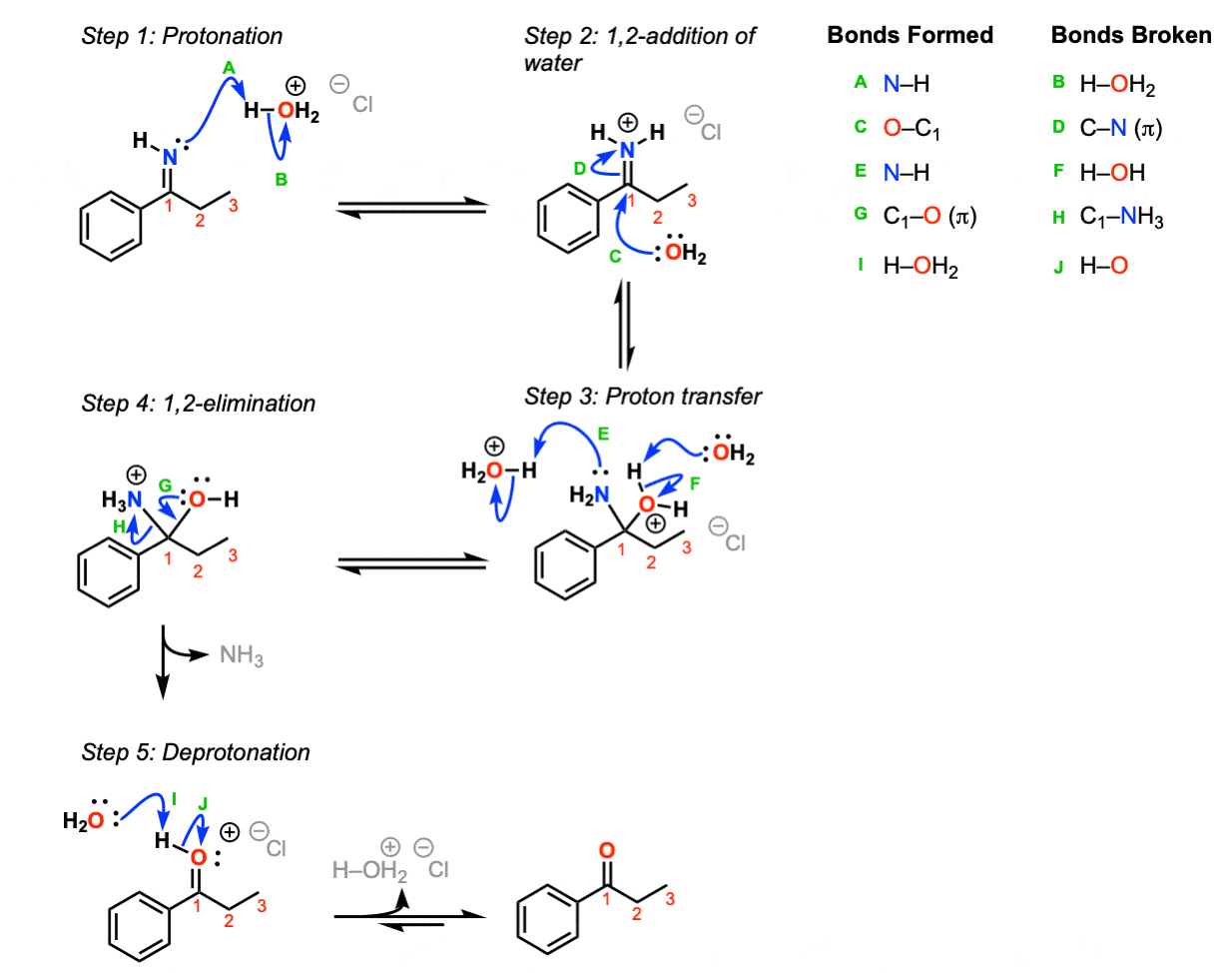 Hydrolysis Of Imines To Give Ketones Or Aldehydes Master Organic Chemistry