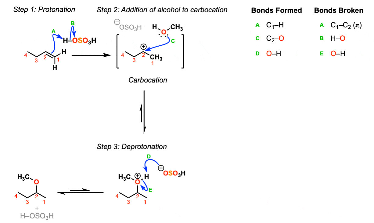 Cyclohexene reactions picture