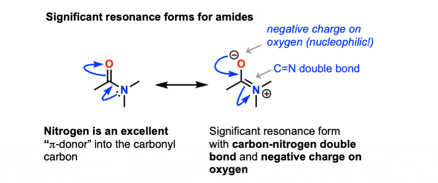 resonance forms of amide show pi donation of nitrogen giving negative charge on oxygen and significant carbon nitrogen double bond character