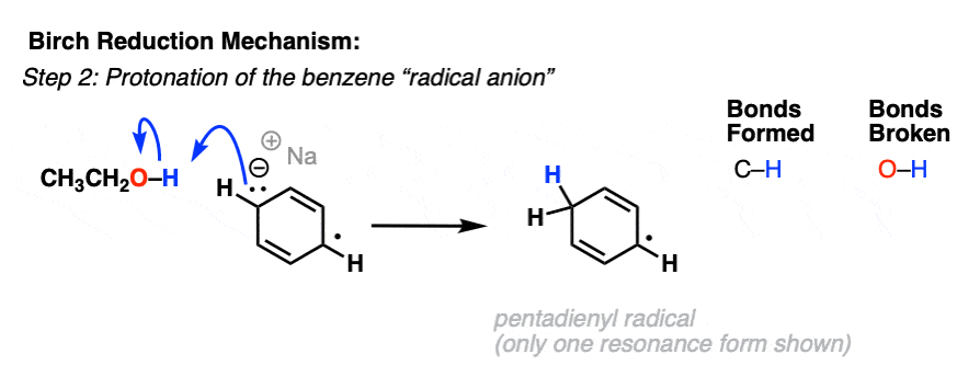 step-two-of-the-birch-reduction-mechanism-is-protonation-at-carbon-to-give-pentadienyl-radical-form-c-h-bond
