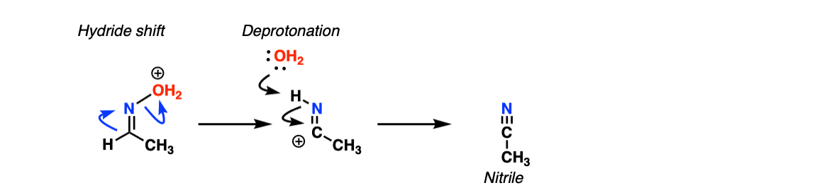 beckmann rearrangement oximes from aldehydes arrow pushing mechanism give 1 2 hydride shift resulting in nitrile