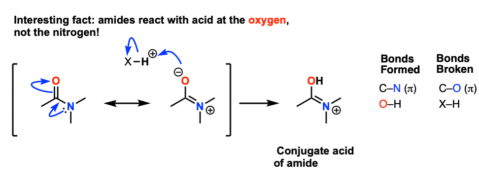 Reverse Of Amide Formation