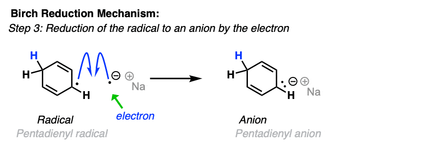 step 3 of birch reduction mechanism is reduction of pentadienyl radical by an electron to give a new anion