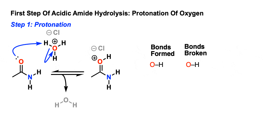 hydrolysis of amides mechanism first step is protonation of oxygen of amide