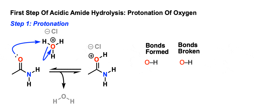 Amide Hydrolysis Using Acid Or Base – Master Organic Chemistry