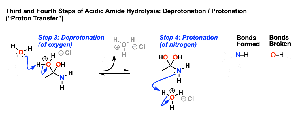 third and fourth steps of aqueous acid hydrolysis of amides is proton transfer deprotonation and protonation