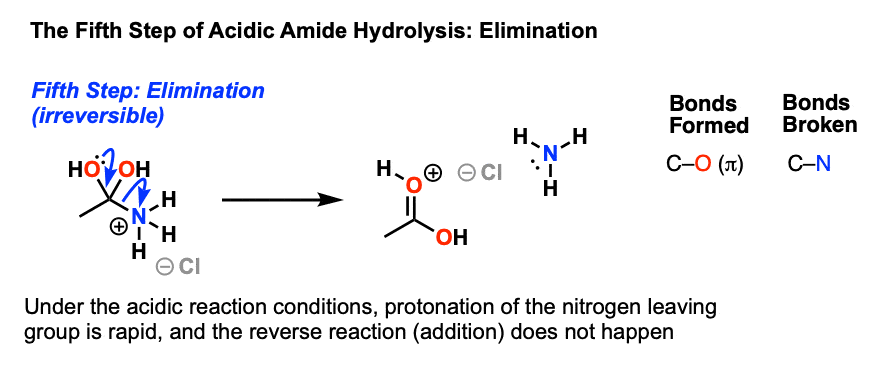 fifth step of acidic amide hydrolysis is elimination of amine which is typically irreversible since the amine forms a salt in acid