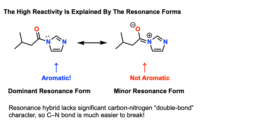 resonance forms reveal why acyl imidazole is easy amide to cleave because imidazole is aromatic and forming c n double bond would disrupt aromaticity