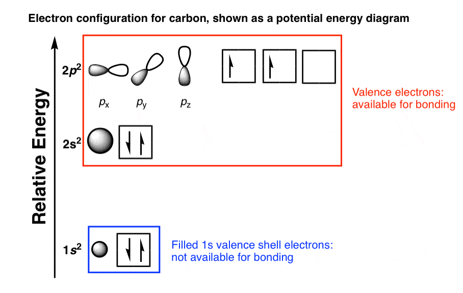 electron-configuration-for-carbon-atom-shown-as-potential-energy-diagram-with-valence-electrons-4-and-filled-1s-electrons