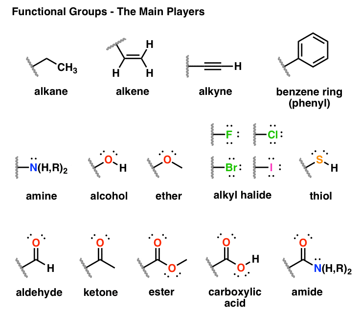 most-important-funcdtional-groups-alkane-alkene-alkyne-benzene-ring-amine-alcohol-ether-alkyl-halide-thiol-aldehyde-ketone-ester-carboxylic-acid-amide