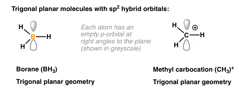 trigonal-planar-molecules-with-sp2-hybrid-orbitals-borane-bh3-ch3-carbocation