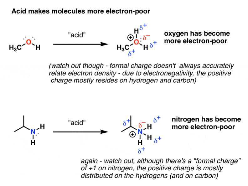 protonation-of-alcohols-and-amines-make-the-oxygen-and-nitrogen-more-electron-poor-but-the-electrophile-is-still-H