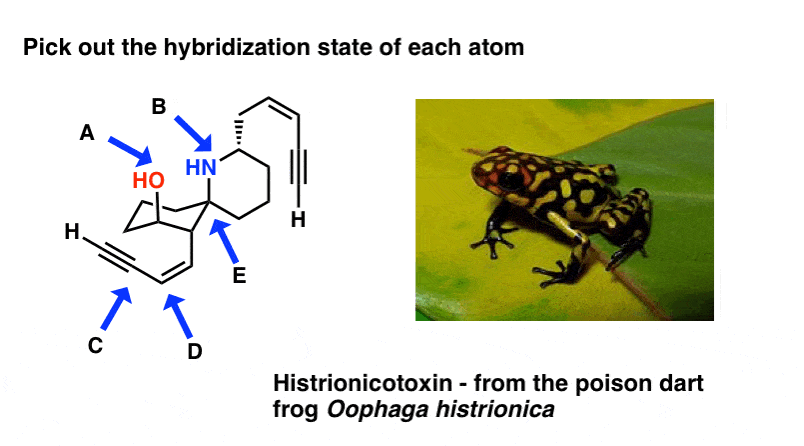 pick-out-hybridization-state-of-each-atom-histrionicotoxin-poison-dart-frog