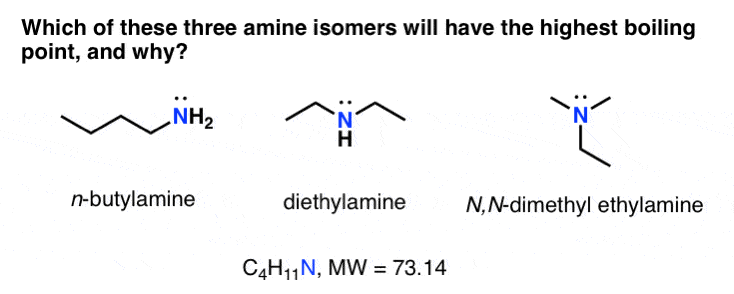 three-amine-isomers-will-have-highest-boiling-point-butylamine-vs-diethylamine-vs-n-n-dimethyl-ethylamine