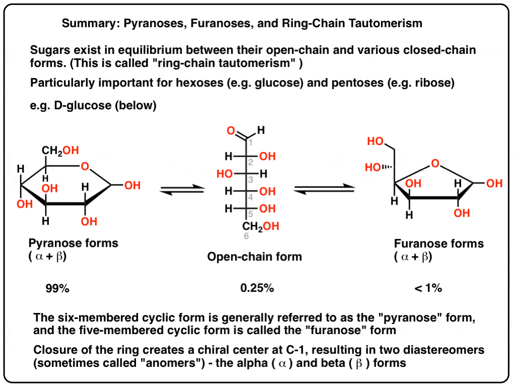 Pyranoses And Furanoses Ring Chain Tautomerism In Sugars