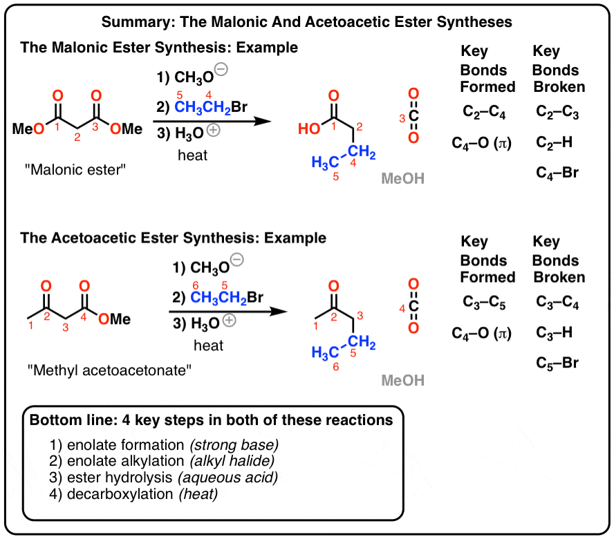malonic ester synthesis example and acetoacetic ester synthesis example