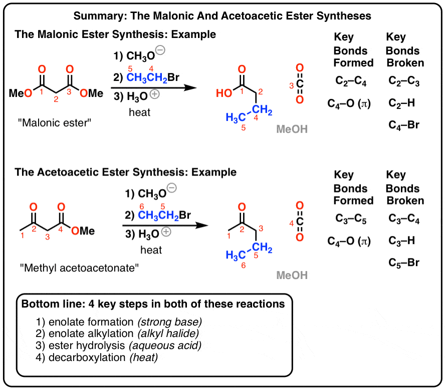 The Malonic Ester Synthesis Master Organic Chemistry