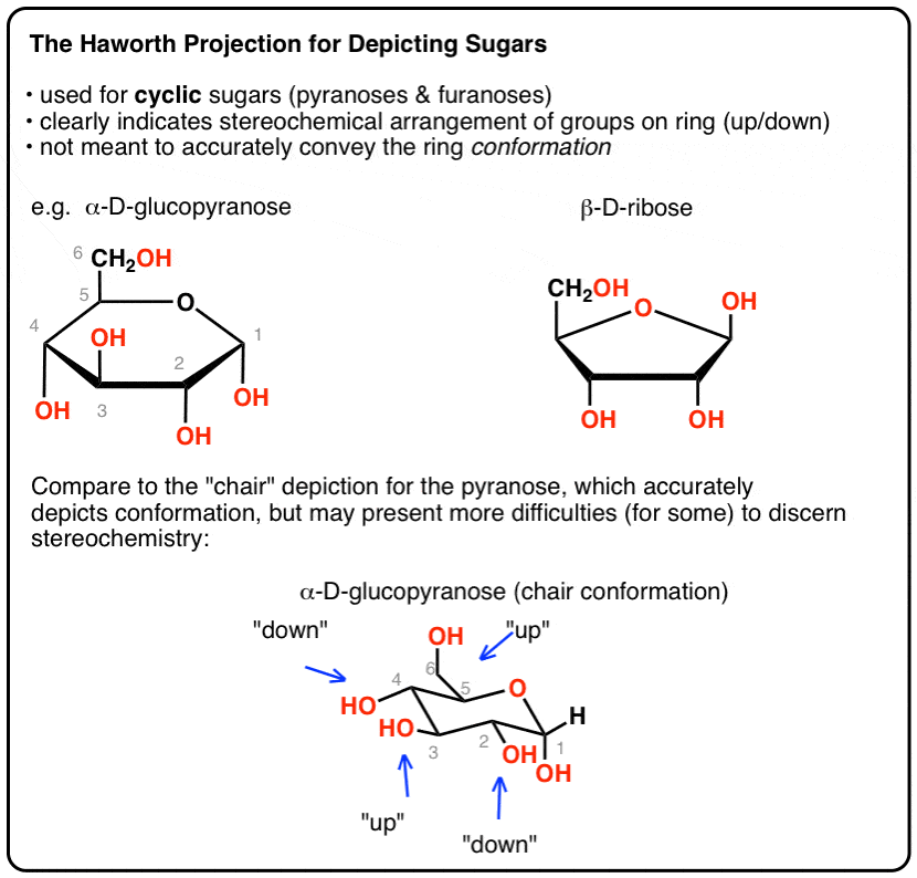 what-is-the-haworth-projection-used-for-cyclic-sugars-to-indicate-stereochemistry