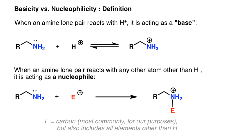 basicity vs nucleophilicity when an amine reacts with h+ it is a base when it reacts with carbon its a nucleophile