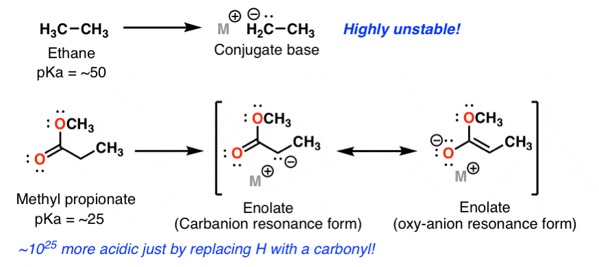 carbonyls make adjacent alkyl groups more acidic through stabilizing the conjugate base via resonance