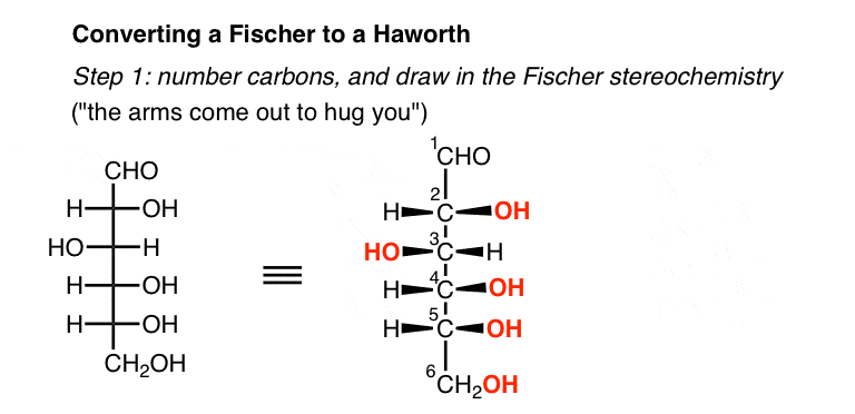converting-a-fischer-to-haworth-step-1-number-carbons-and-draw-in-stereochemistry